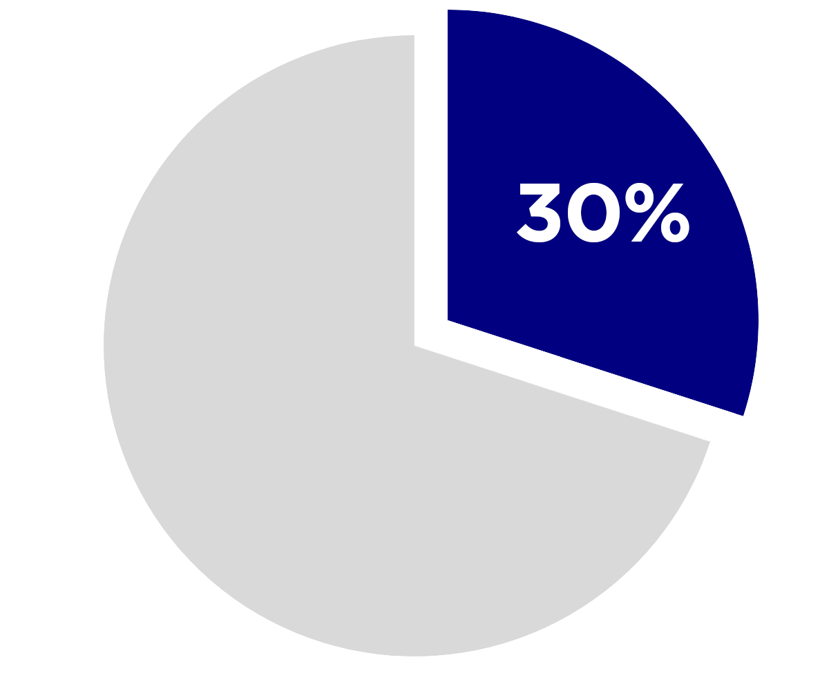 pie chart: 30 percent