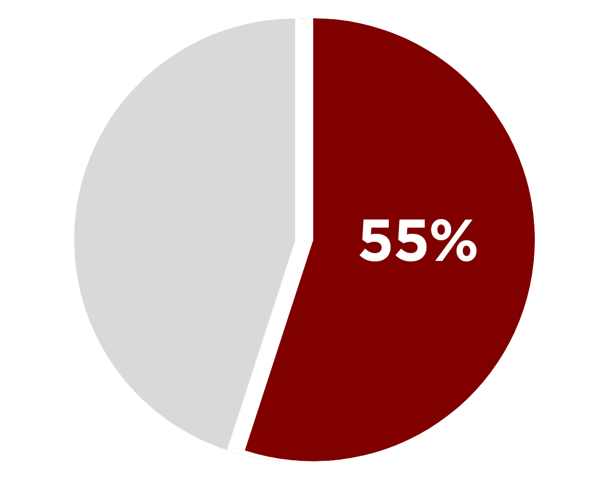 pie chart: 55 percent