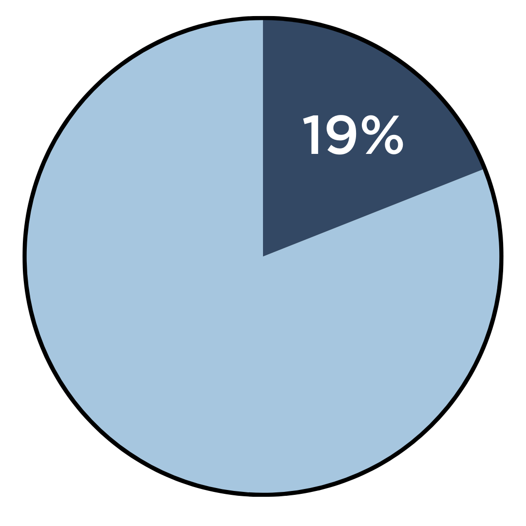 pie chart: 19%